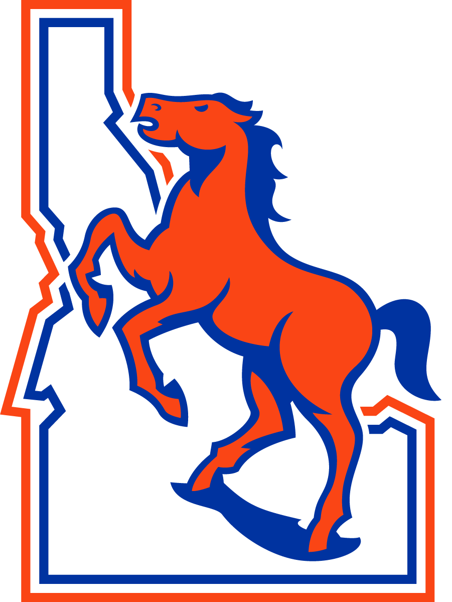 Boise State Broncos 2021-Pres Throwback Logo diy DTF decal sticker